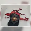 Damgalı Posta Pulu Albümü